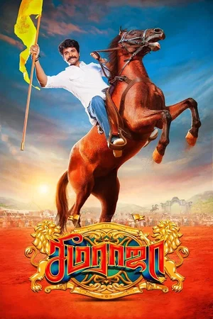 Affiche du film : Seema Raja