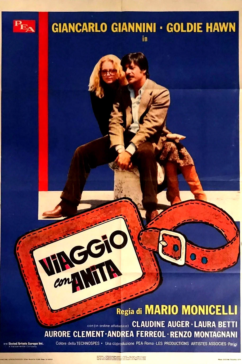 Affiche du film : Voyage avec Anita