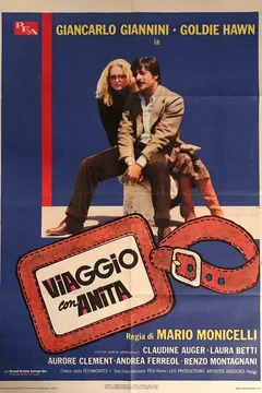 Affiche du film Voyage avec Anita