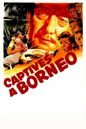 Photo 2 du film : Captives à Bornéo
