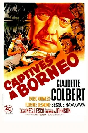 Photo 3 du film : Captives à Bornéo