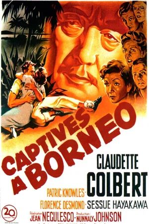 Photo 4 du film : Captives à Bornéo