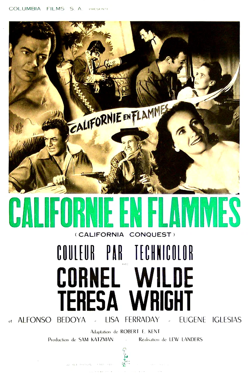 Affiche du film : Californie en flammes