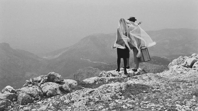 Photo 3 du film : Les patres du desordre
