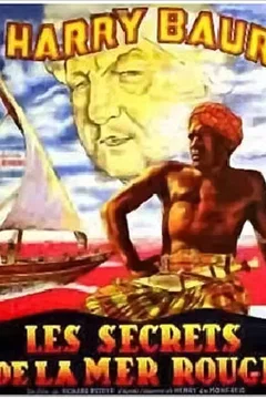 Affiche du film Les secrets de la Mer Rouge