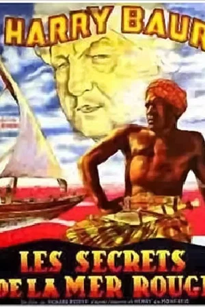 Affiche du film : Les secrets de la Mer Rouge