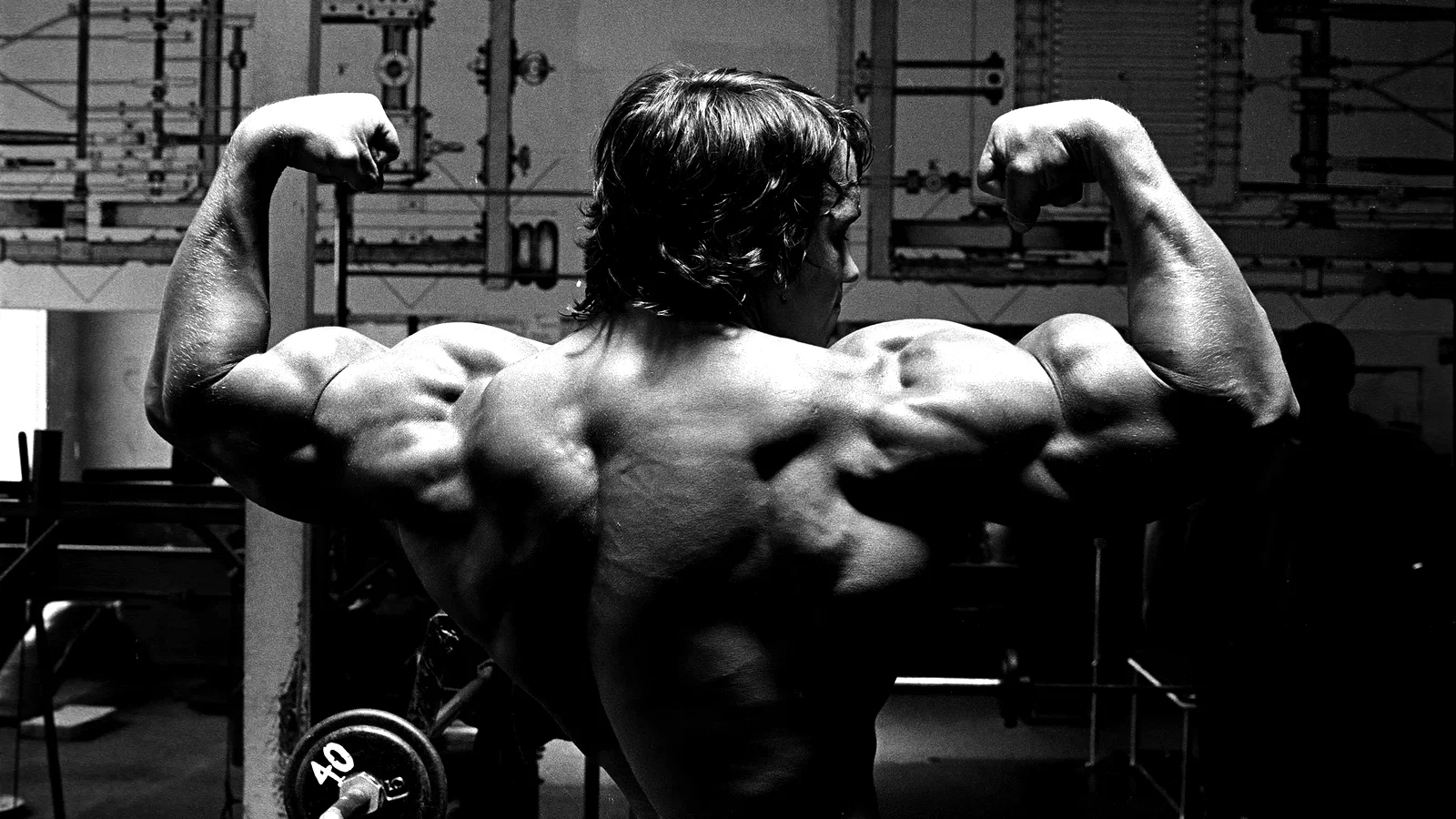 Photo 2 du film : Arnold le magnifique