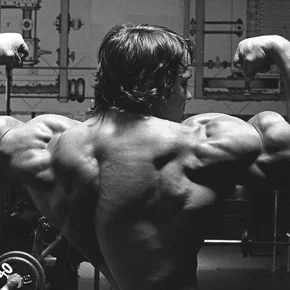 Photo du film : Arnold le magnifique