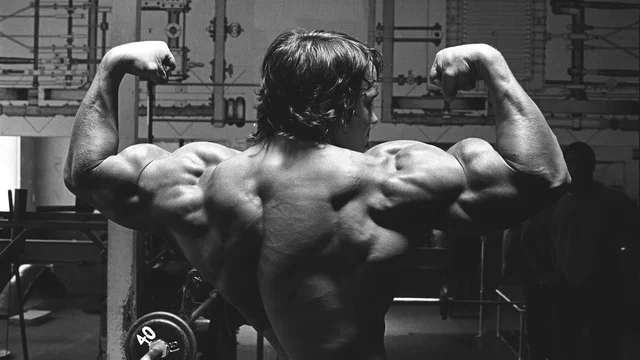 Photo 2 du film : Arnold le magnifique