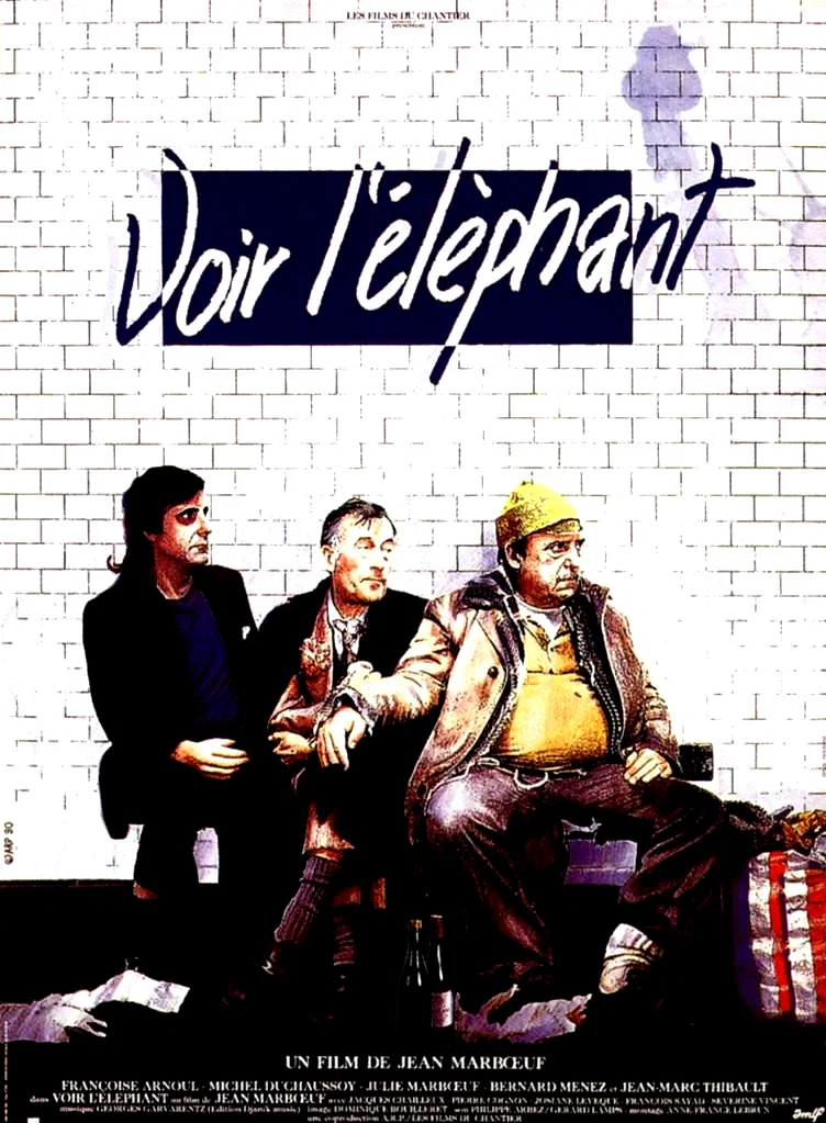 Affiche du film : Voir l'éléphant