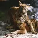Photo du film : Deux frères