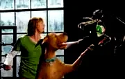 Affiche du film : Scooby-Doo 2 - Les monstres se déchaînent