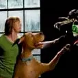 Miniature photo du film : Scooby-Doo 2 - Les monstres se déchaînent