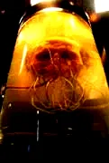 Photo 2 du film : Le coma des mortels