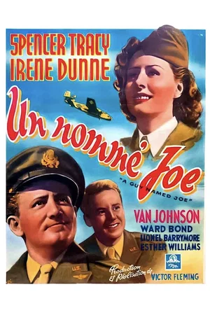 Affiche du film : Un nomme joe