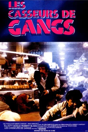 Affiche du film : Les casseurs de gangs