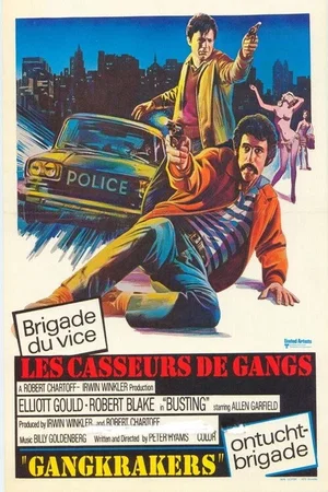 Photo 2 du film : Les casseurs de gangs
