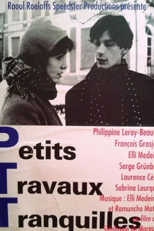 Affiche du film : Petits travaux tranquilles