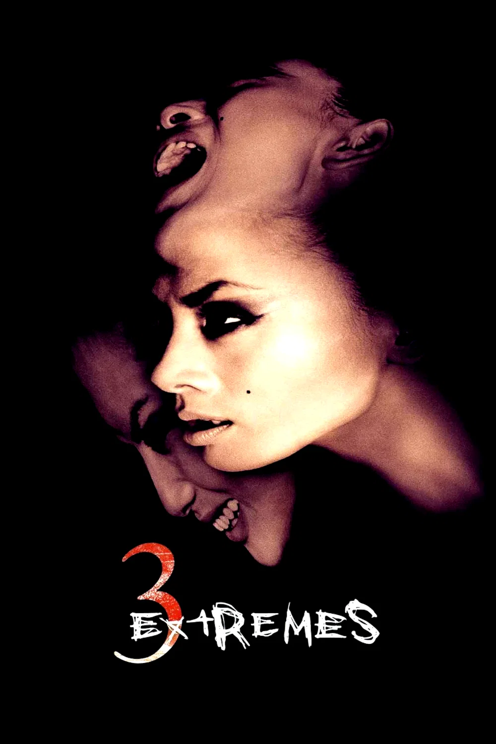 Photo 3 du film : 3 Extrêmes
