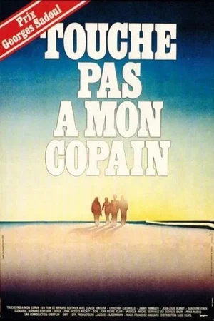 Affiche du film : Touche pas à mon copain