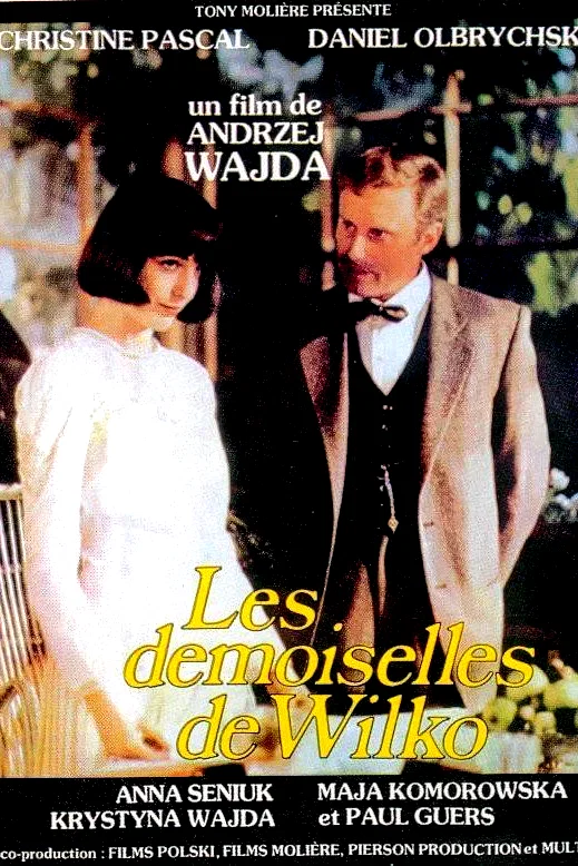 Affiche du film : Les demoiselles de wilko