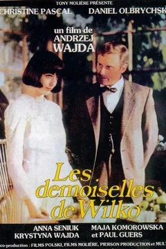 Affiche du film Les demoiselles de wilko
