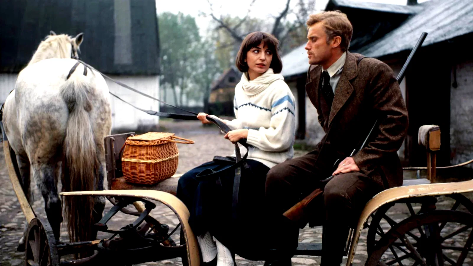 Photo 4 du film : Les demoiselles de wilko