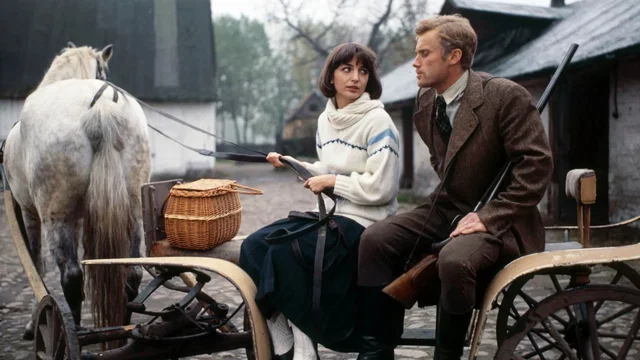 Photo 4 du film : Les demoiselles de wilko