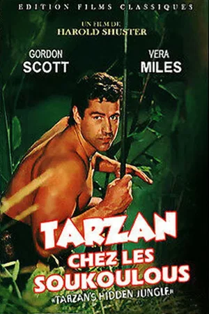 Affiche du film : Tarzan chez les soukoulous