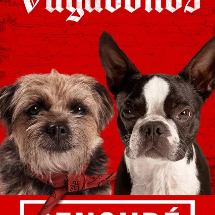 Miniature photo du film : Backstreet Dogs