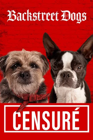 Photo du film : Backstreet Dogs