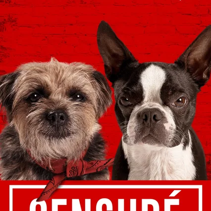 Miniature photo du film : Backstreet Dogs