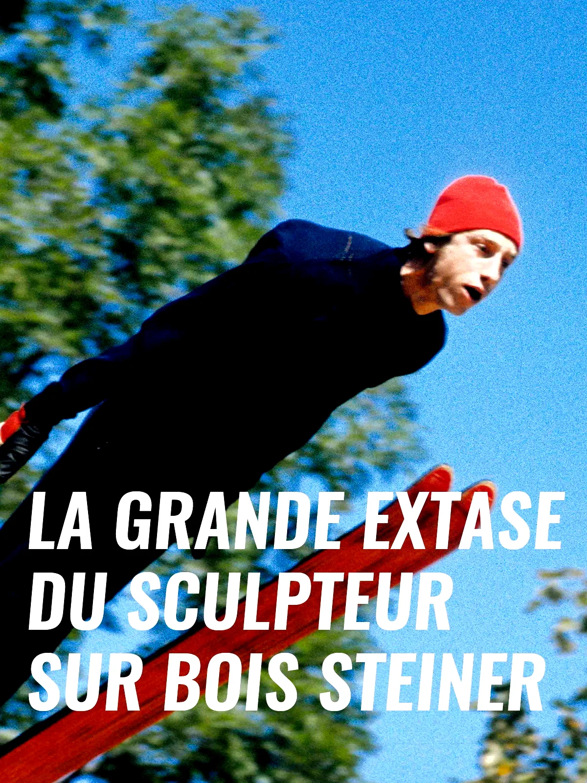 Affiche du film : La Grande Extase du sculpteur sur bois Steiner