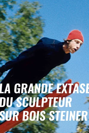 Affiche du film : La Grande Extase du sculpteur sur bois Steiner
