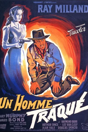 Affiche du film : Un homme traque