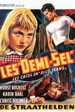 Affiche du film Les demi sel