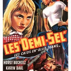 Photo du film : Les demi sel