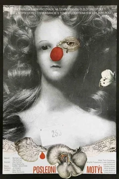 Affiche du film Le cri du papillon