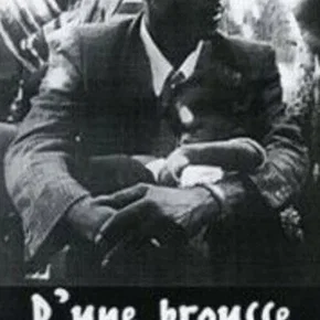 Photo du film : D'une brousse a l'autre