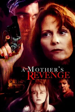 Affiche du film La justice du desespoir