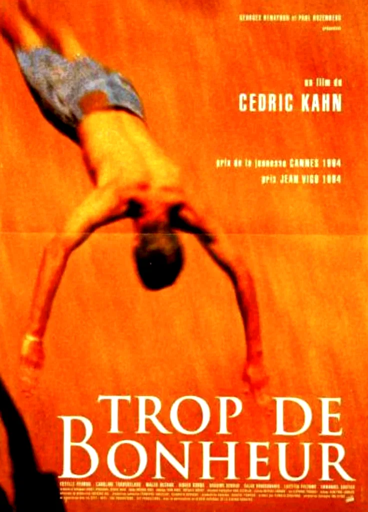 Affiche du film : Trop de bonheur