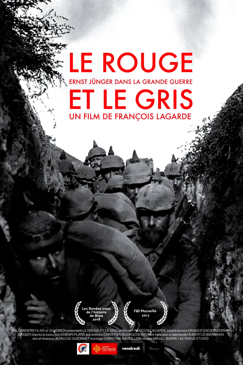 Affiche du film : Le Rouge et le Gris, Ernst Jünger dans la Grande Guerre