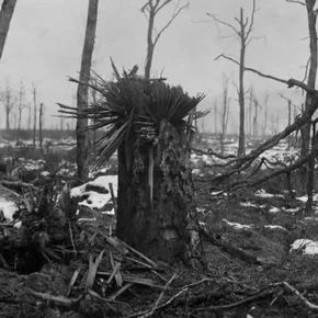 Photo du film : Le Rouge et le Gris, Ernst Jünger dans la Grande Guerre