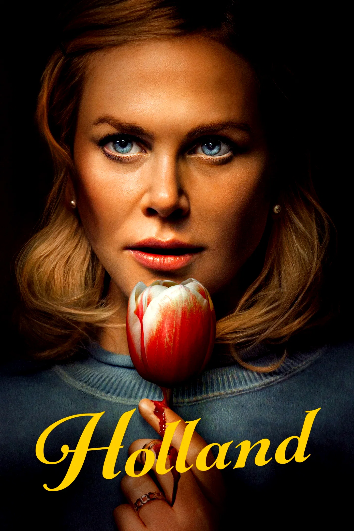Affiche du film : Welcome To Holland