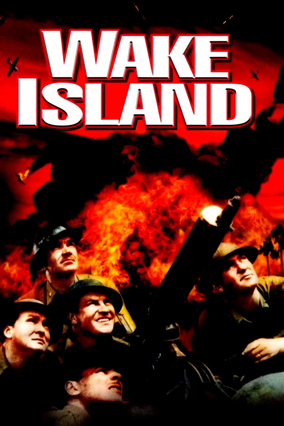 Affiche du film : La sentinelle du pacifique