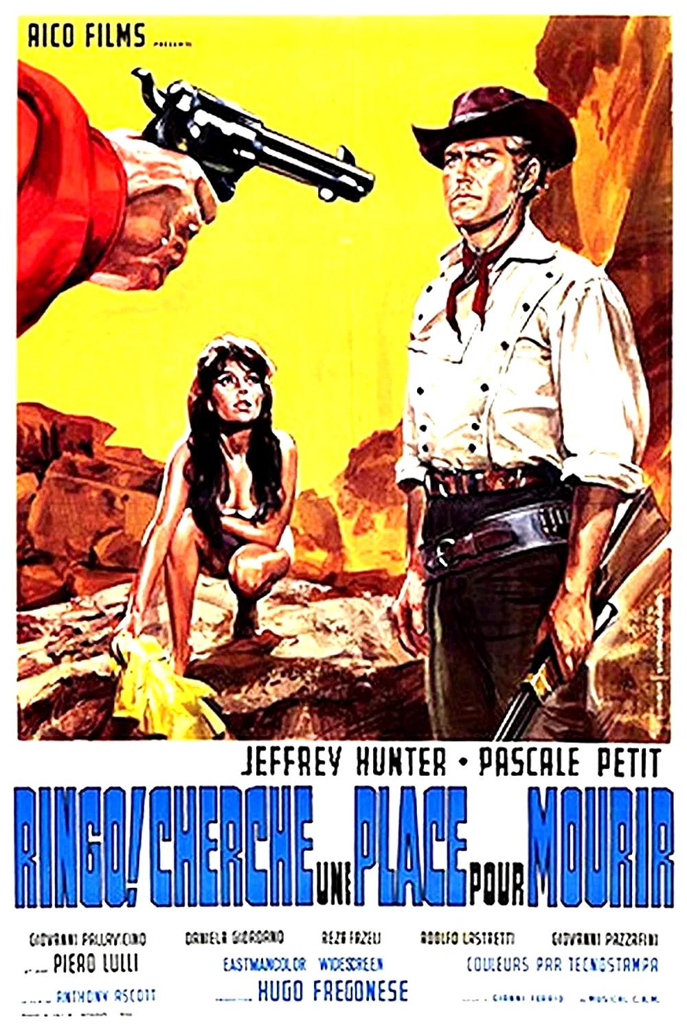 Affiche du film : Ringo cherche une place pour mourir