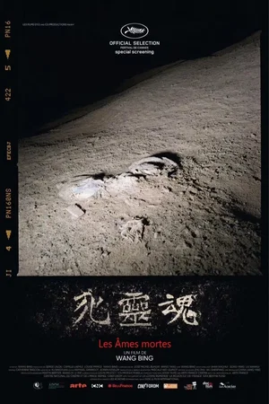 Photo 2 du film : Les Âmes mortes