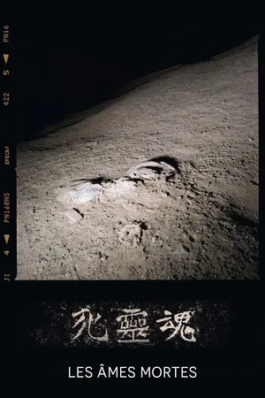 Photo 3 du film : Les Âmes mortes