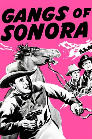 Affiche du film : Gangs of Sonora
