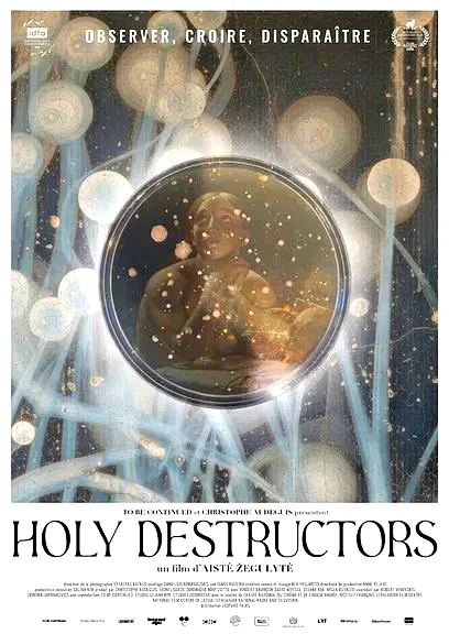 Affiche du film : Holy Destructors
